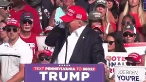 Donald Trump Injured After Shots Fired at Pennsylvania Rally