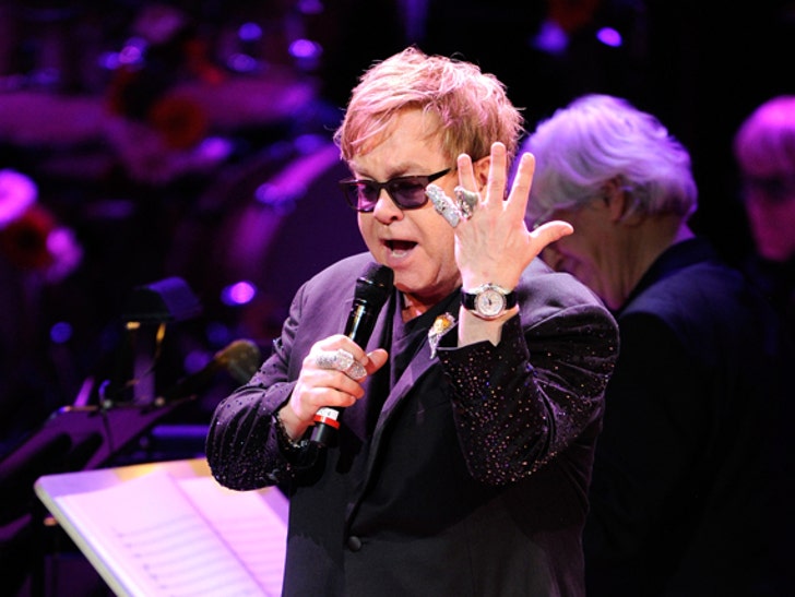 Elton John's Performance Pictures