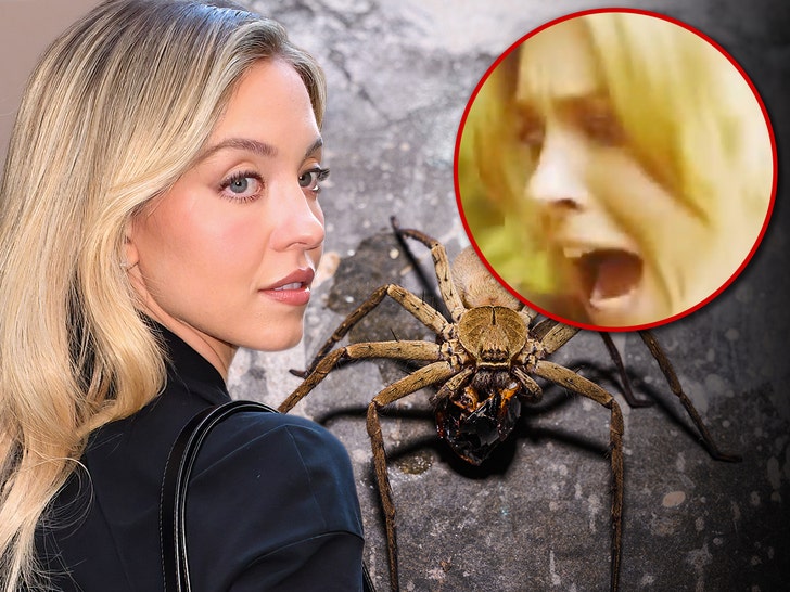 Sydney Sweeney bit by huntsman spider