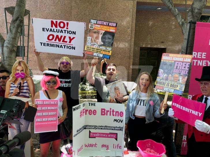 Free Britney Protesters Outside Of Court