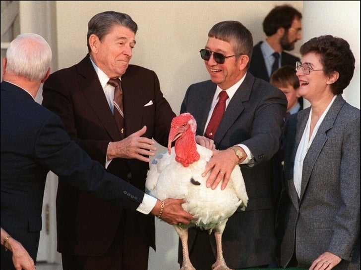 Presidents Pardon Poultry -- See The Thankful Turkeys!