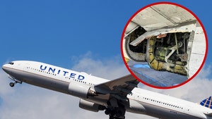 united airplines panel removed