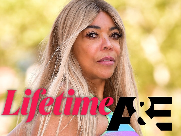 wendy williams suing lifetime aande primary