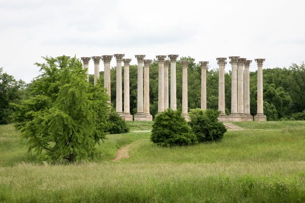 National Capitol Columns