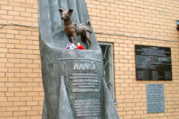 Laika Monument