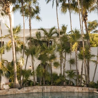 Watched over by a bank of towering palms, a woman stands in the pool alone, smoothing her hair as ripples fan out around her.