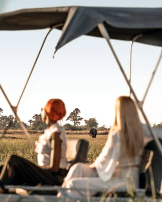 Blurred silhouettes of two stylish ladies watching an elephant approach in the distance