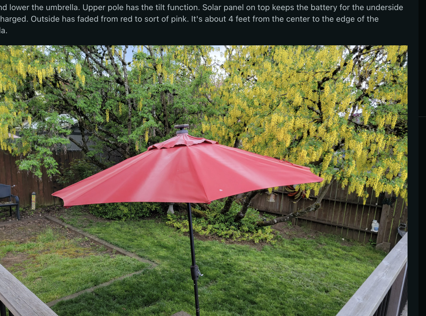 Patio umbrella standing in a backyard