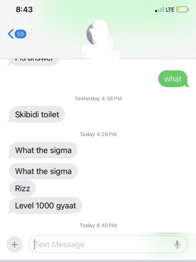 Screenshot of a text message conversation discussing &quot;Skibidi toilet,&quot; &quot;What the sigma,&quot; &quot;Rizz,&quot; and &quot;Level 1000 gyaat.&quot;
