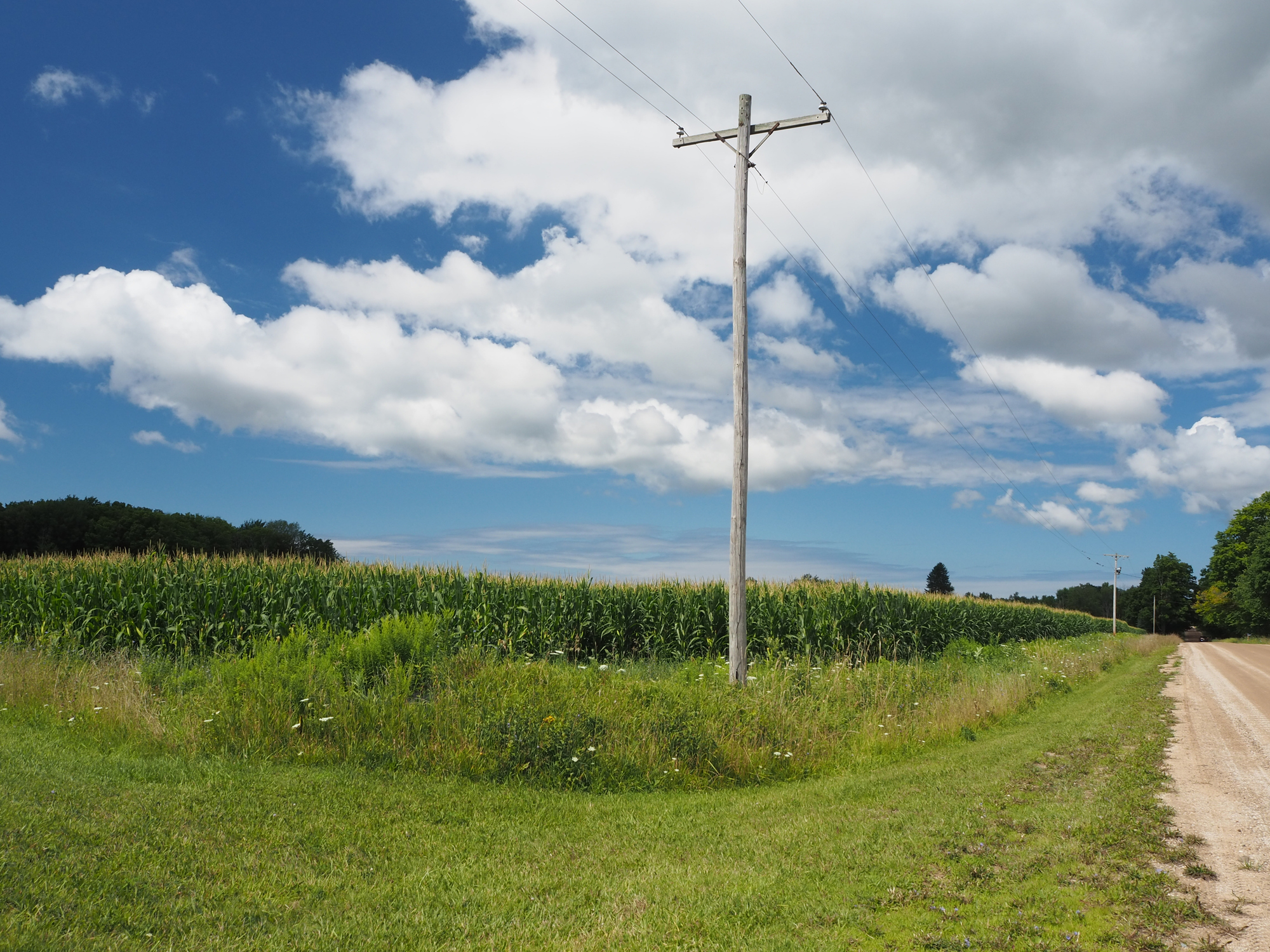 A rural scene showing a telephone pole along a dirt road beside a cornfield under a partly cloudy sky