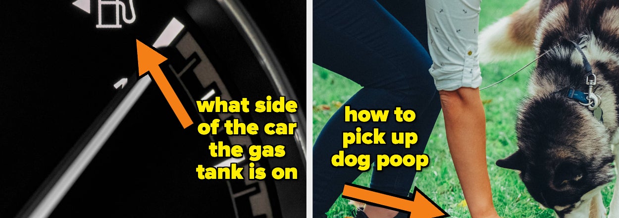 Two images: Left shows a car fuel gauge indicating gas tank side. Right shows someone using a bag to pick up dog poop while walking a dog