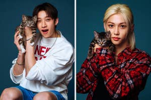 Bang Chan holds a kitten and wears a white sweatshirt; Felix also holds a kitten and wears a red plaid shirt. Both are from the group Stray Kids