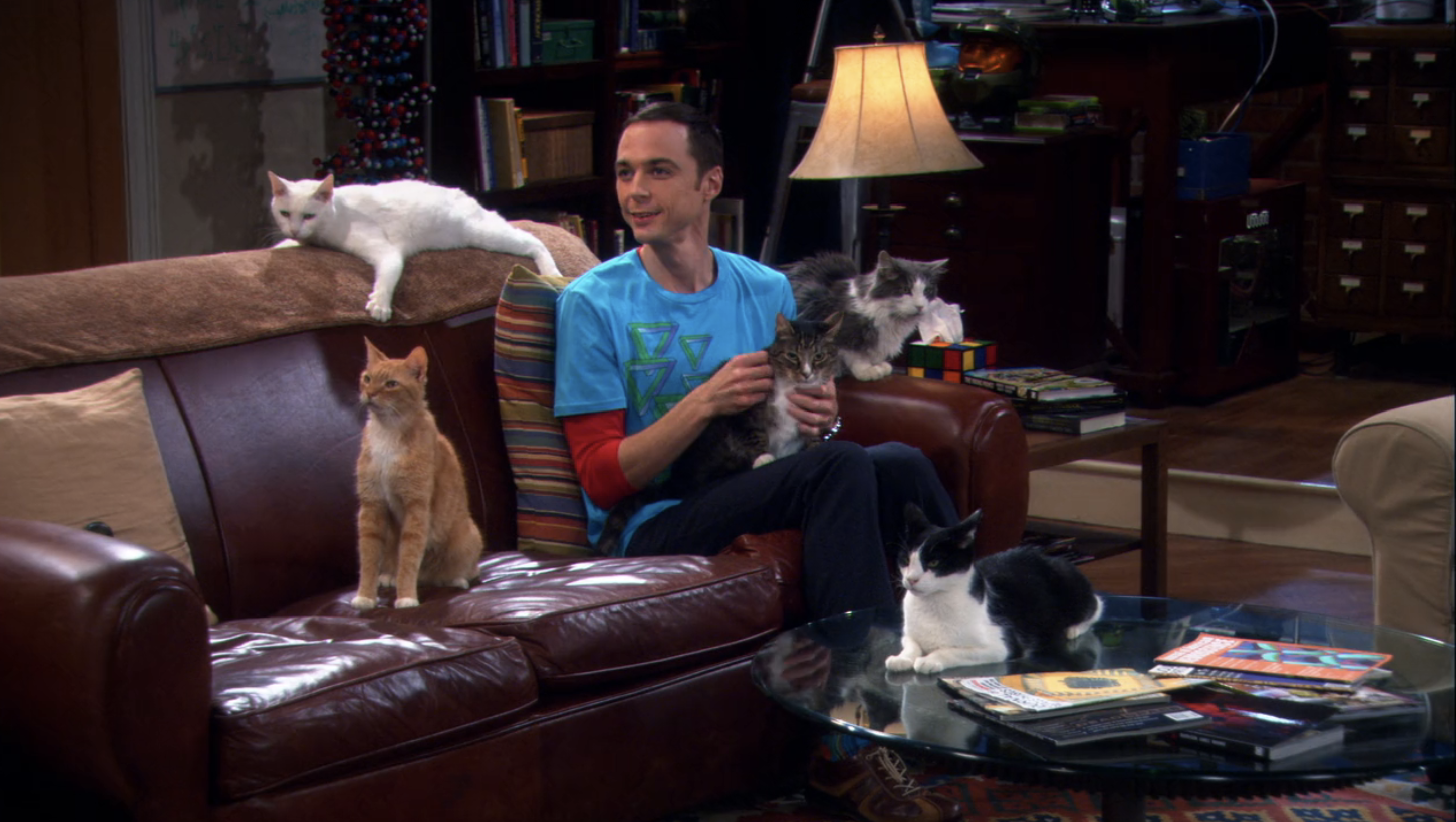 Sheldon Cooper from The Big Bang Theory sits on a couch with four cats, in a cozy, cluttered living room