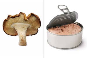 Image of a mushroom on the left and an open can of tuna on the right