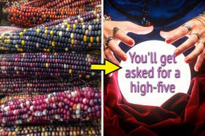 Left: Multicolored corn cobs stacked. Right: Hands with rings over a crystal ball, with text: "You'll get asked for a high-five."