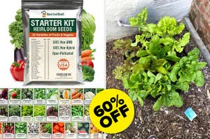 Image showing a packet of Open Seed Vault starter kit heirloom seeds with 32 varieties of fruits and veggies, alongside a garden with growing plants, and a 60% off discount