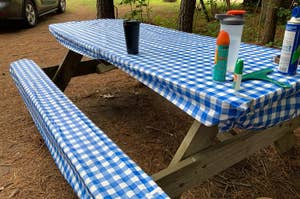 Picnic table with a blue and white checkered tablecloth and various items, likely for an outdoor meal