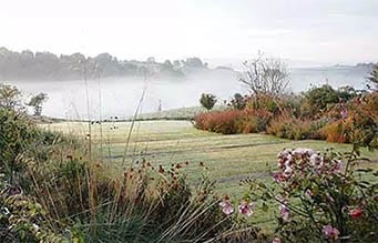 The garden that lead to Crocus – The Telegraph