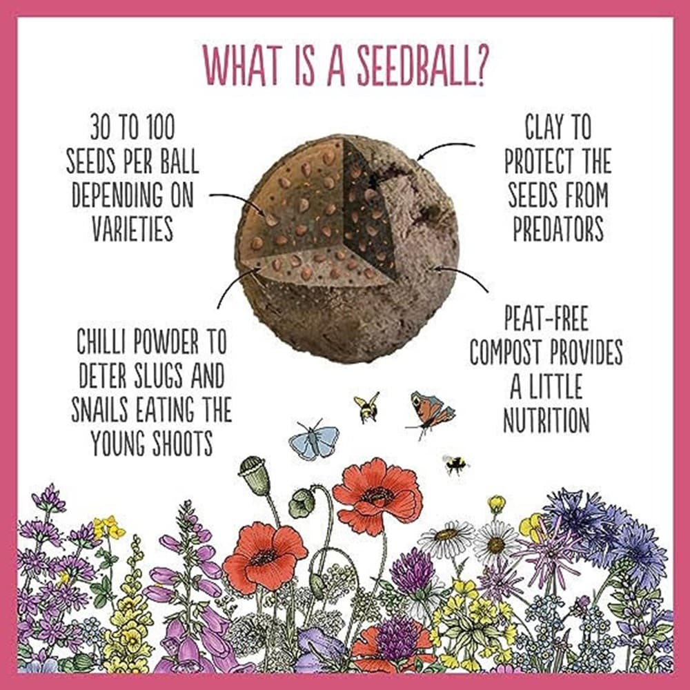 Seedballs for bees