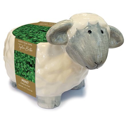 mint grow kit & lamb planter