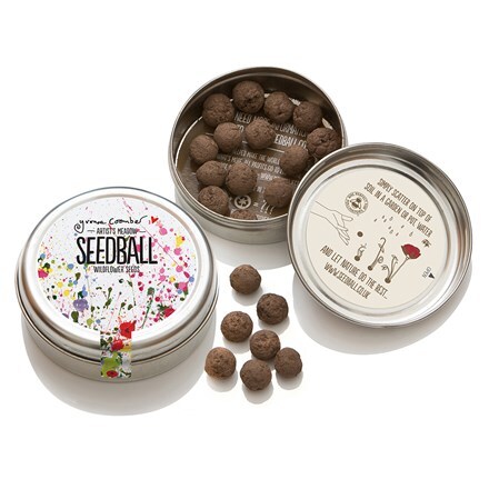 Seedballs artists meadow seedbombs