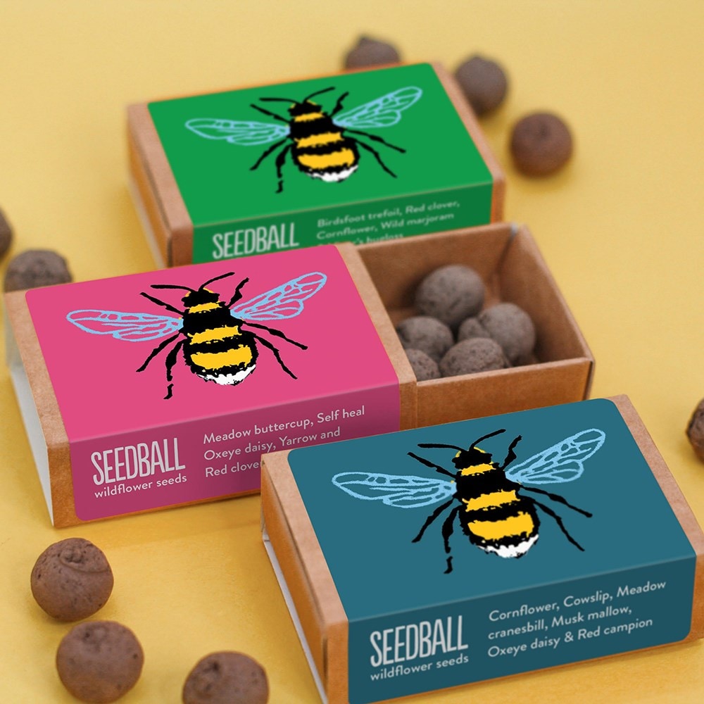 Seedballs bee matchboxes