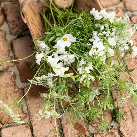 Simple white cutting garden collection