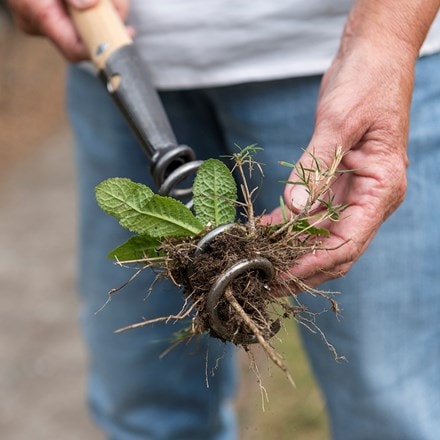 DeWit corkscrew weeder long T handle