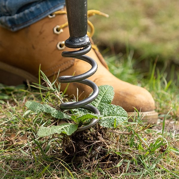 DeWit corkscrew weeder long T handle