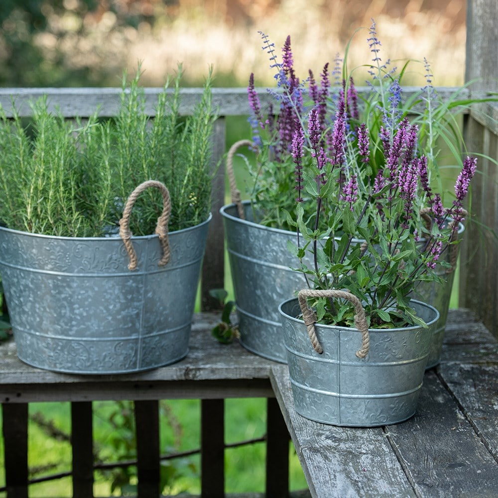 Galvanised metal planter with rope handles