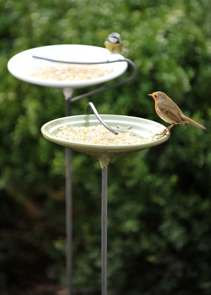 Stake bird bath - Crocus green