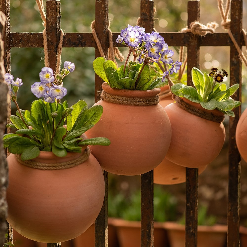 Hanging baskets