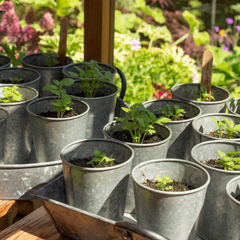 Galvanised pots - set of 6