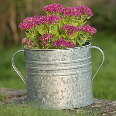 Galvanised planter with handles