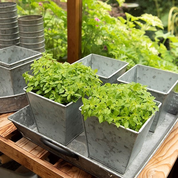 Galvanised square pot