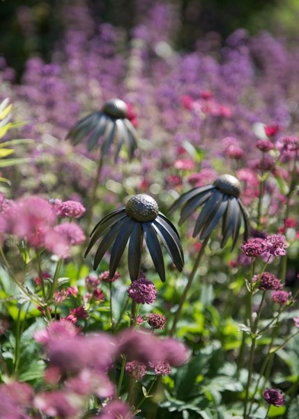 Echinacea plant stake - antique bronze