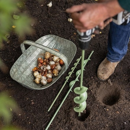 Bulb planting auger - long