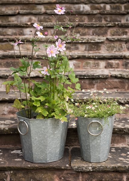 Faceted galvanised metal planter