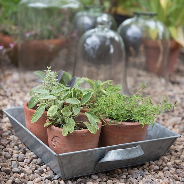 Galvanised tray with handles