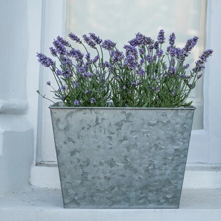 Galvanised metal planter