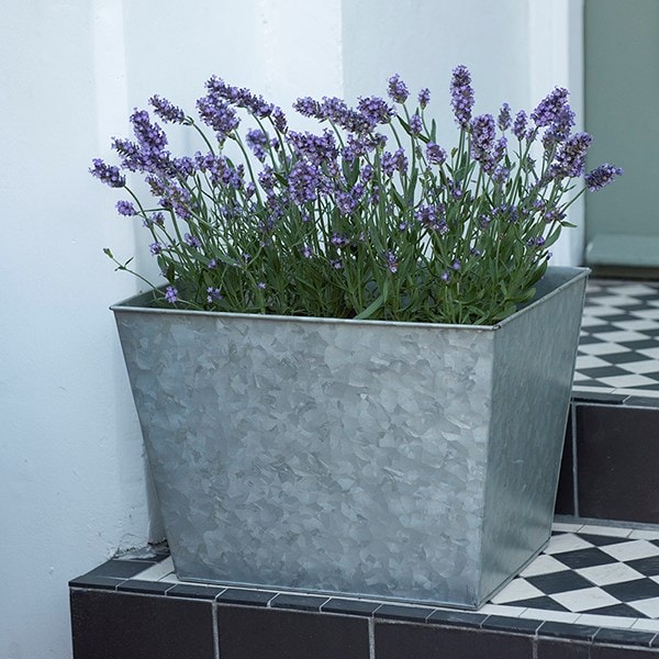 Galvanised metal planter