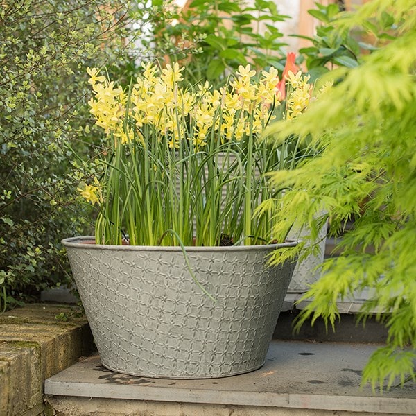 Embossed galvanised metal planter - aged zinc