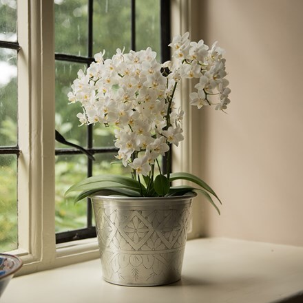 Hand etched aluminium planter 