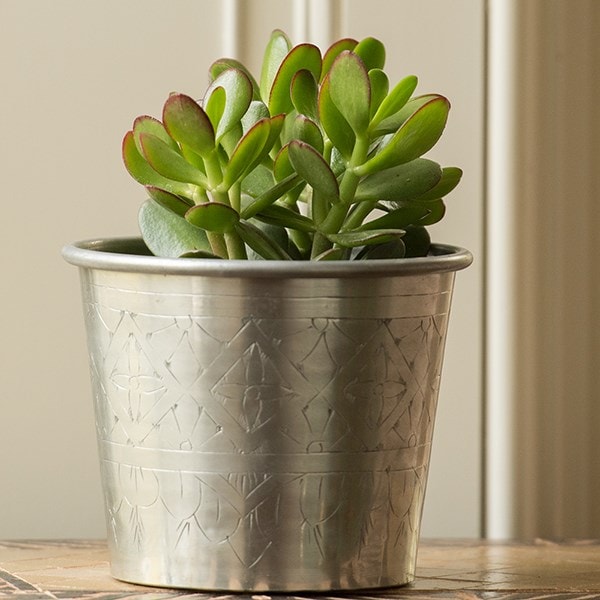 Hand etched aluminium planter 