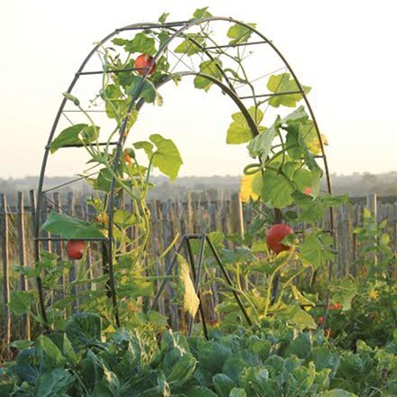 London eye plant frame - black