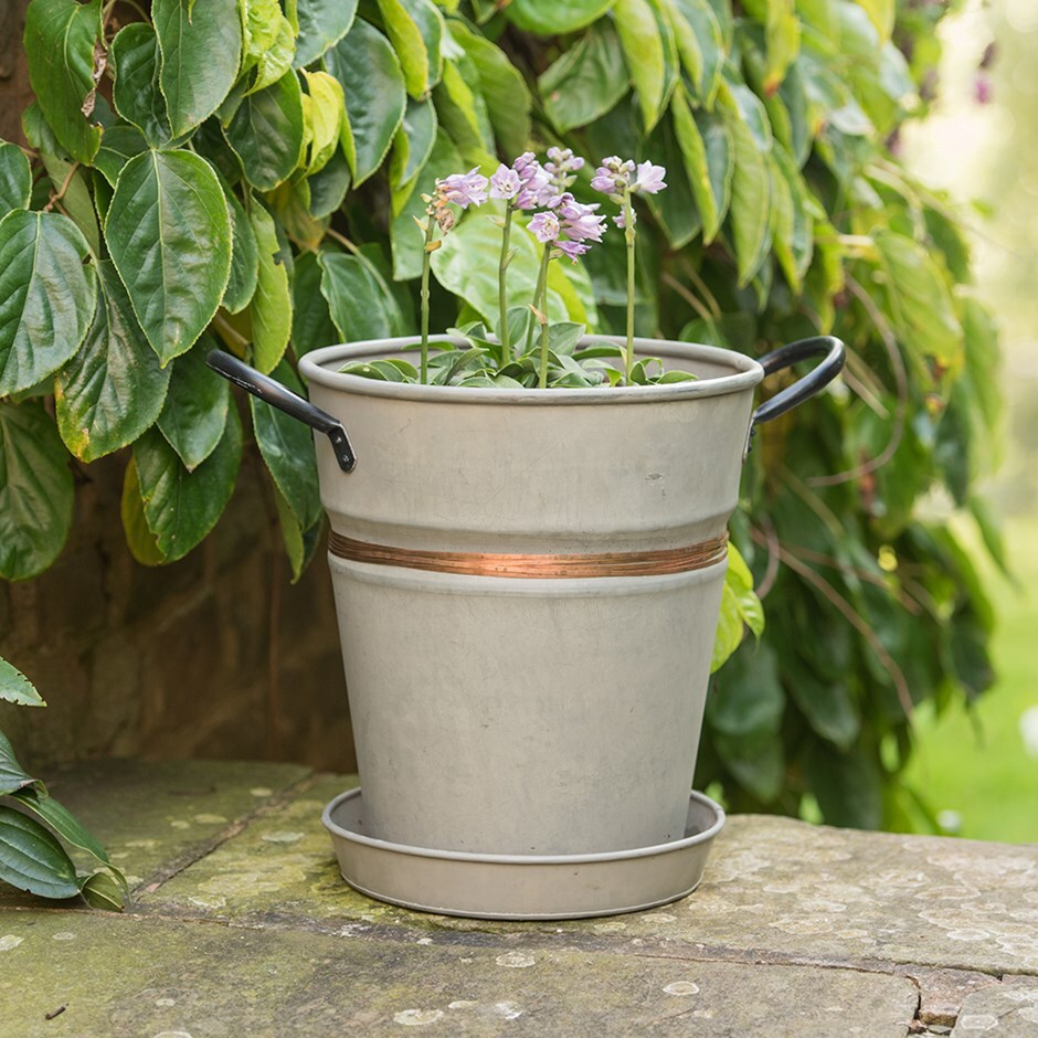 Galvanised metal planter with copper belt and tray