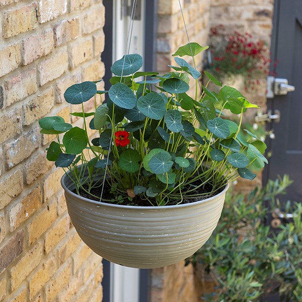 Hanging galvanised metal ribbed bowl - aged zinc