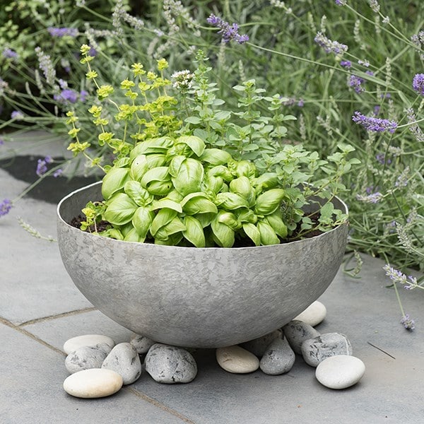 Sphere plant bowl