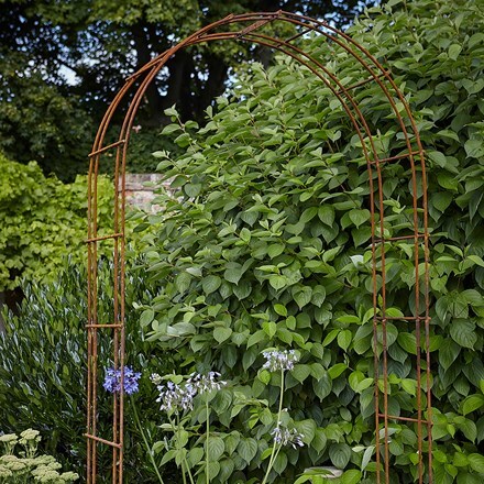 Rustique garden arch - rust