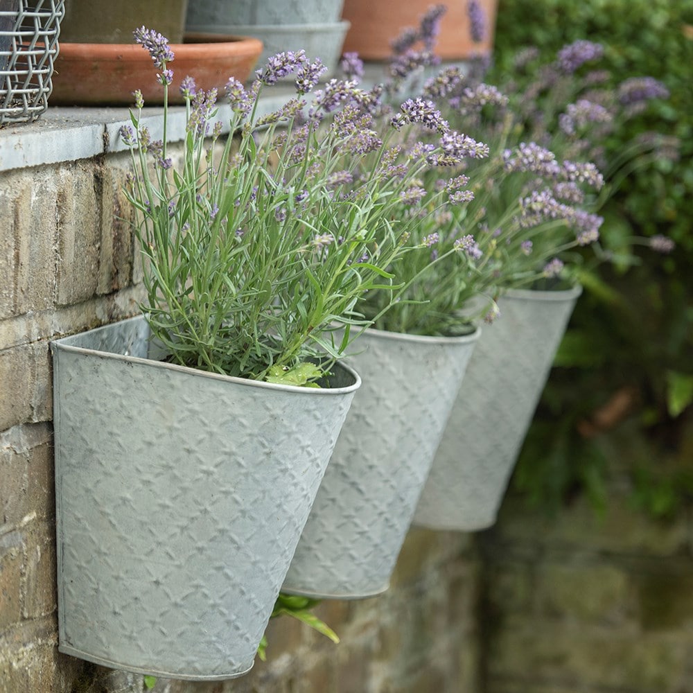 Wall planters